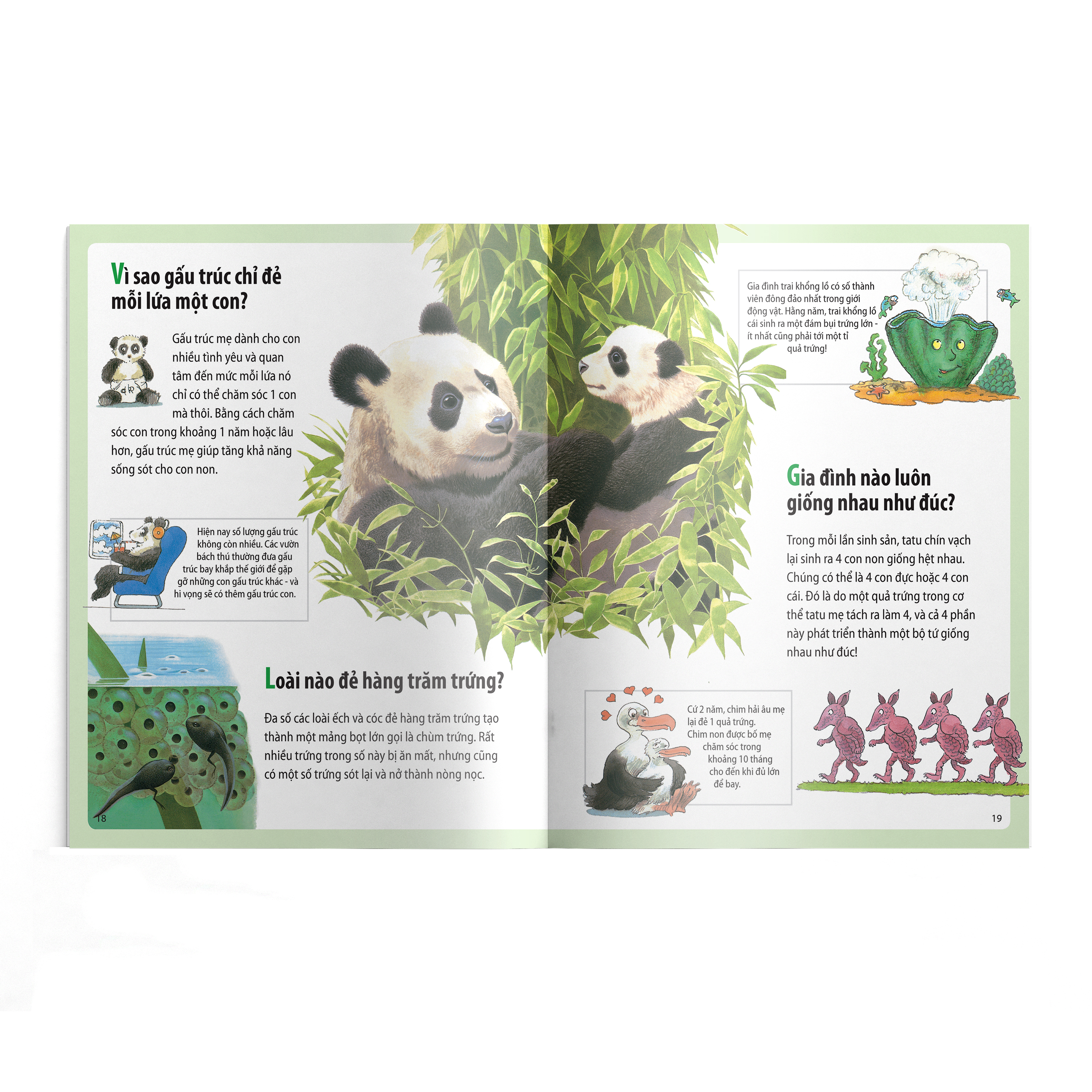 em muốn biết vì sao - kangaroo có túi và những câu hỏi khác về con non (tái bản 2022) - Ảnh 5