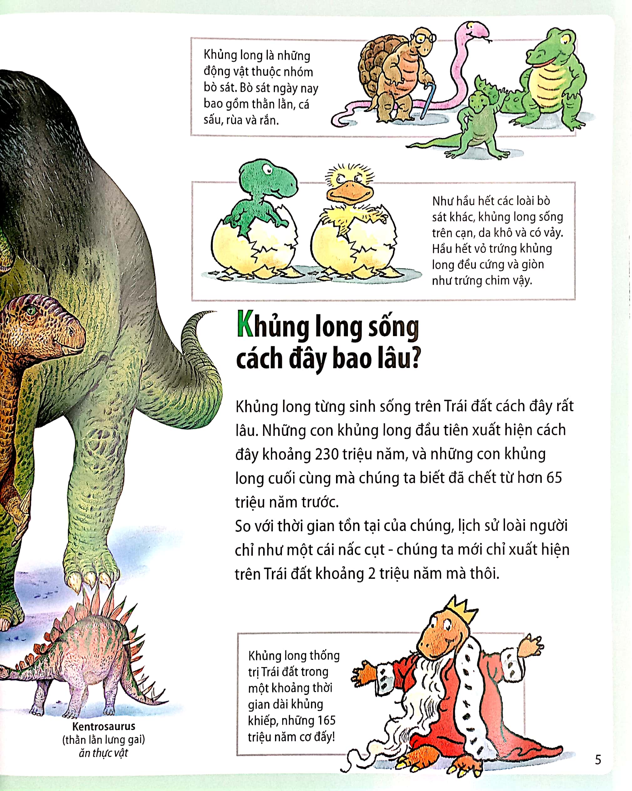 em muốn biết vì sao - khủng long tuyệt chủng và những câu hỏi khác về khủng long (tái bản) - Ảnh 5