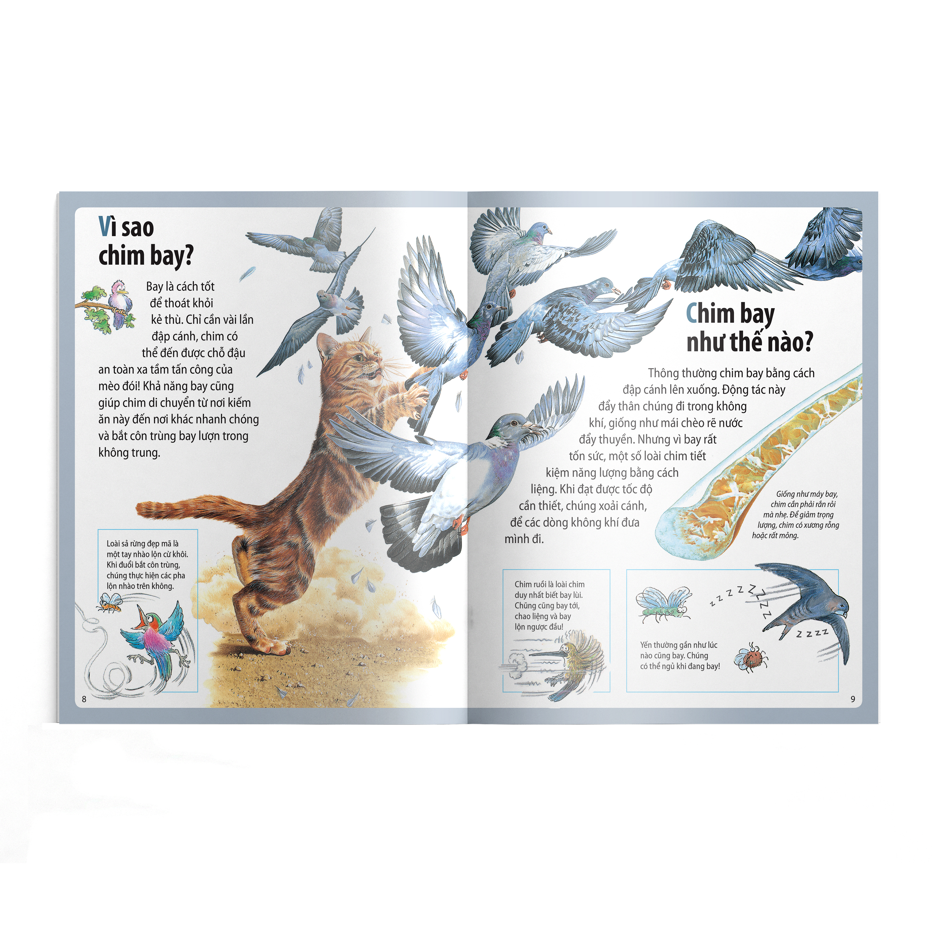 em muốn biết vì sao - ngỗng trời bay xa và những câu hỏi khác về chim chóc - Ảnh 4