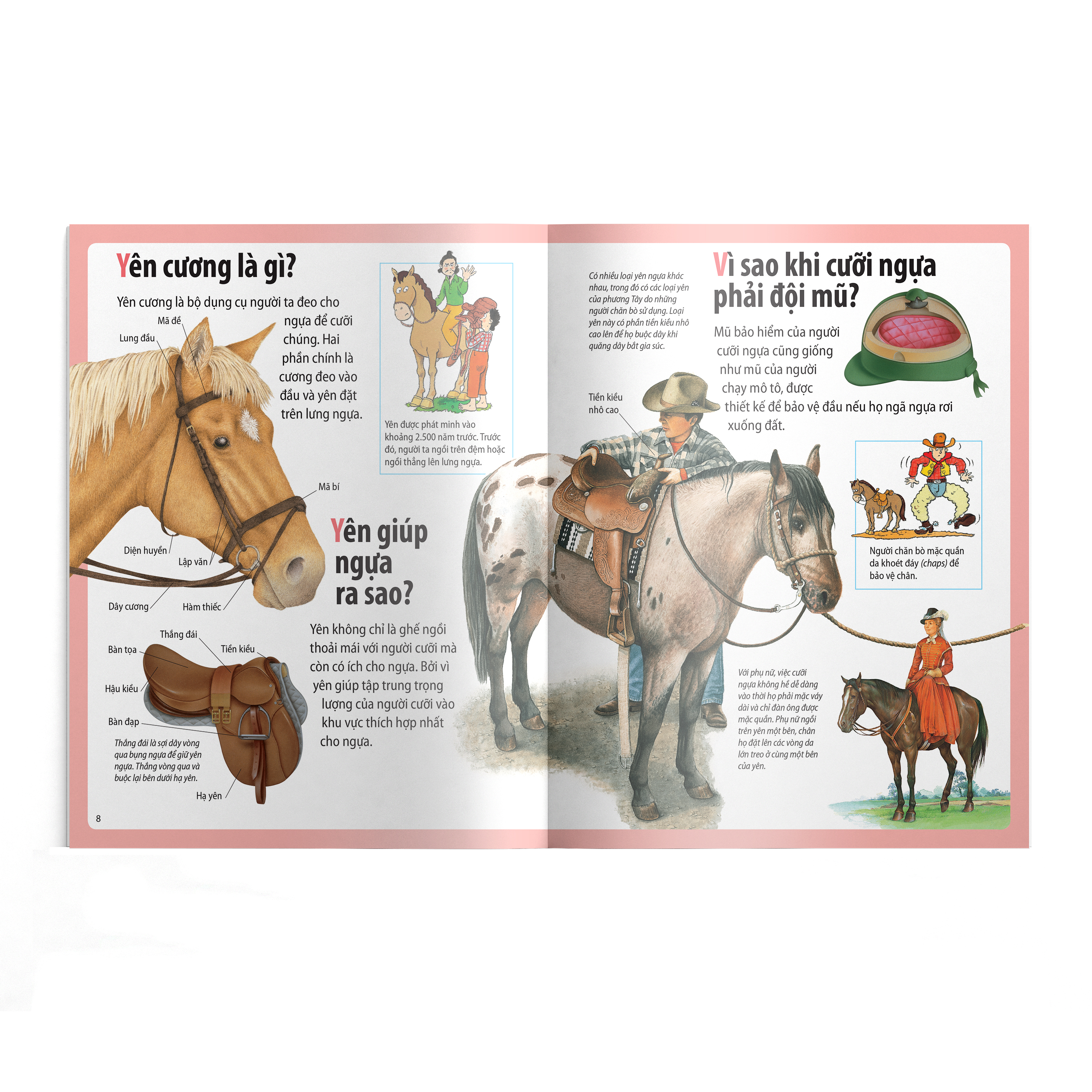 em muốn biết vì sao - ngựa có móng và những câu hỏi khác về ngựa - Ảnh 5