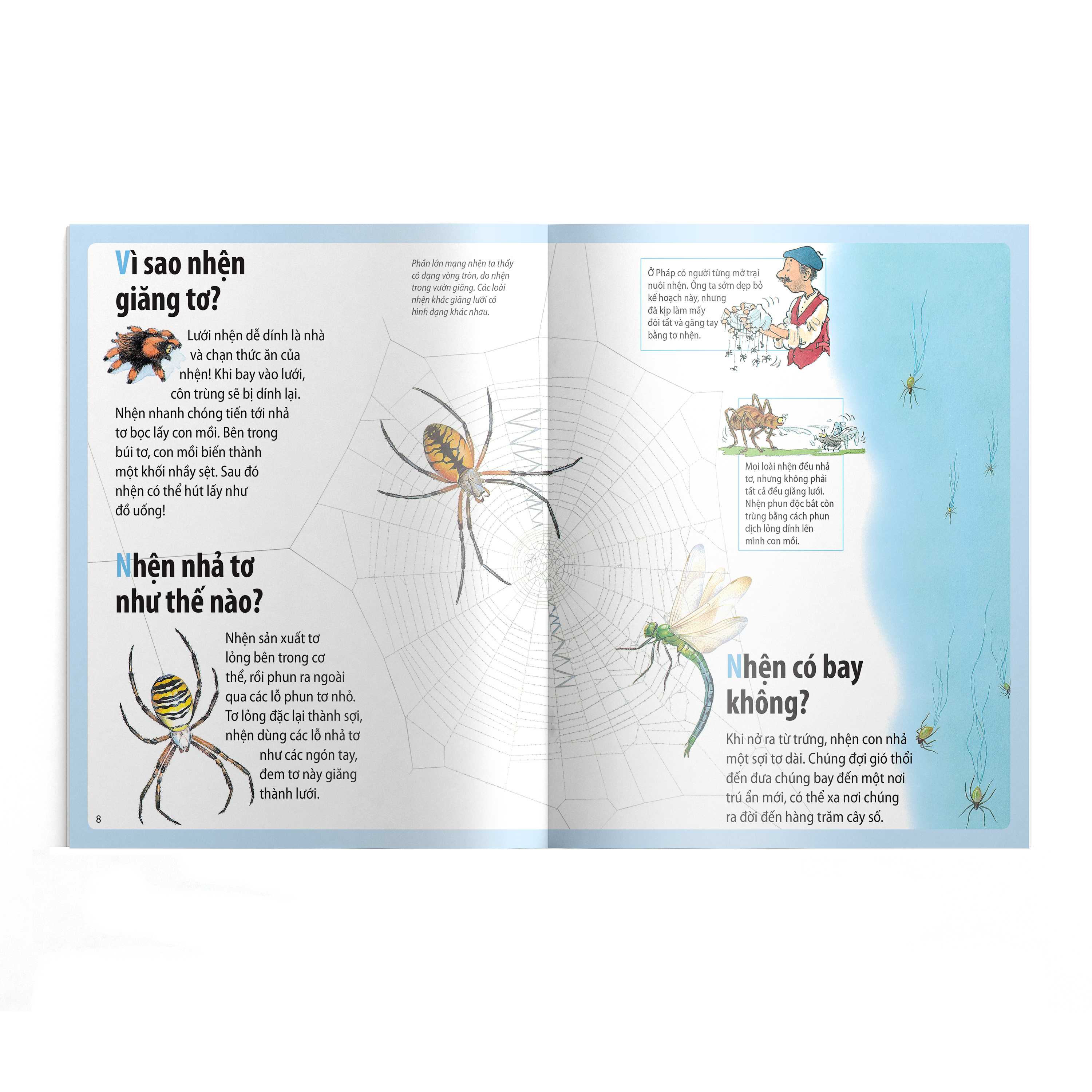 em muốn biết vì sao - nhện giăng tơ và những câu hỏi khác về các loài côn trùng - Ảnh 4