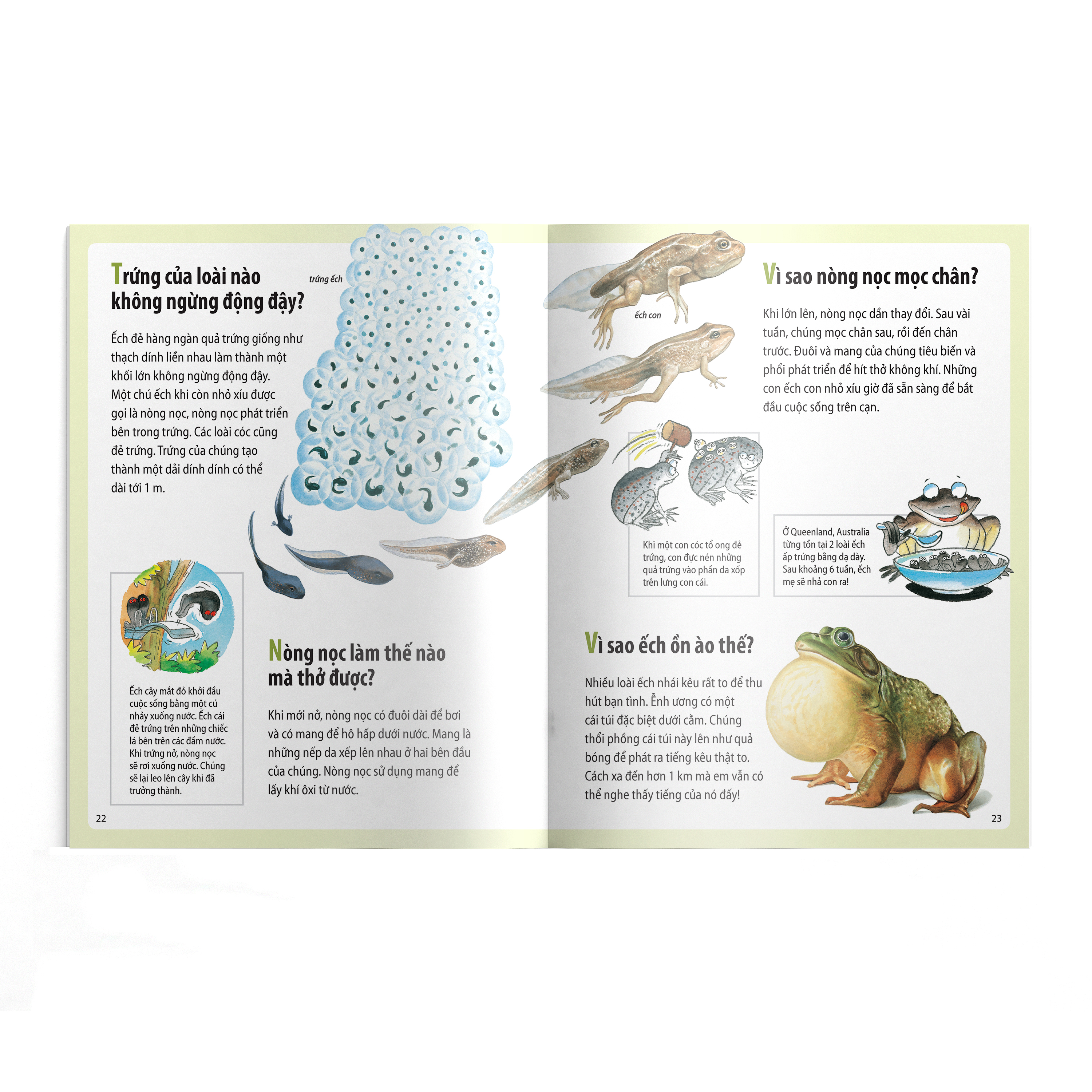 em muốn biết vì sao - sâu bướm ăn nhiều và những câu hỏi khác về sự sống (tái bản 2022) - Ảnh 4