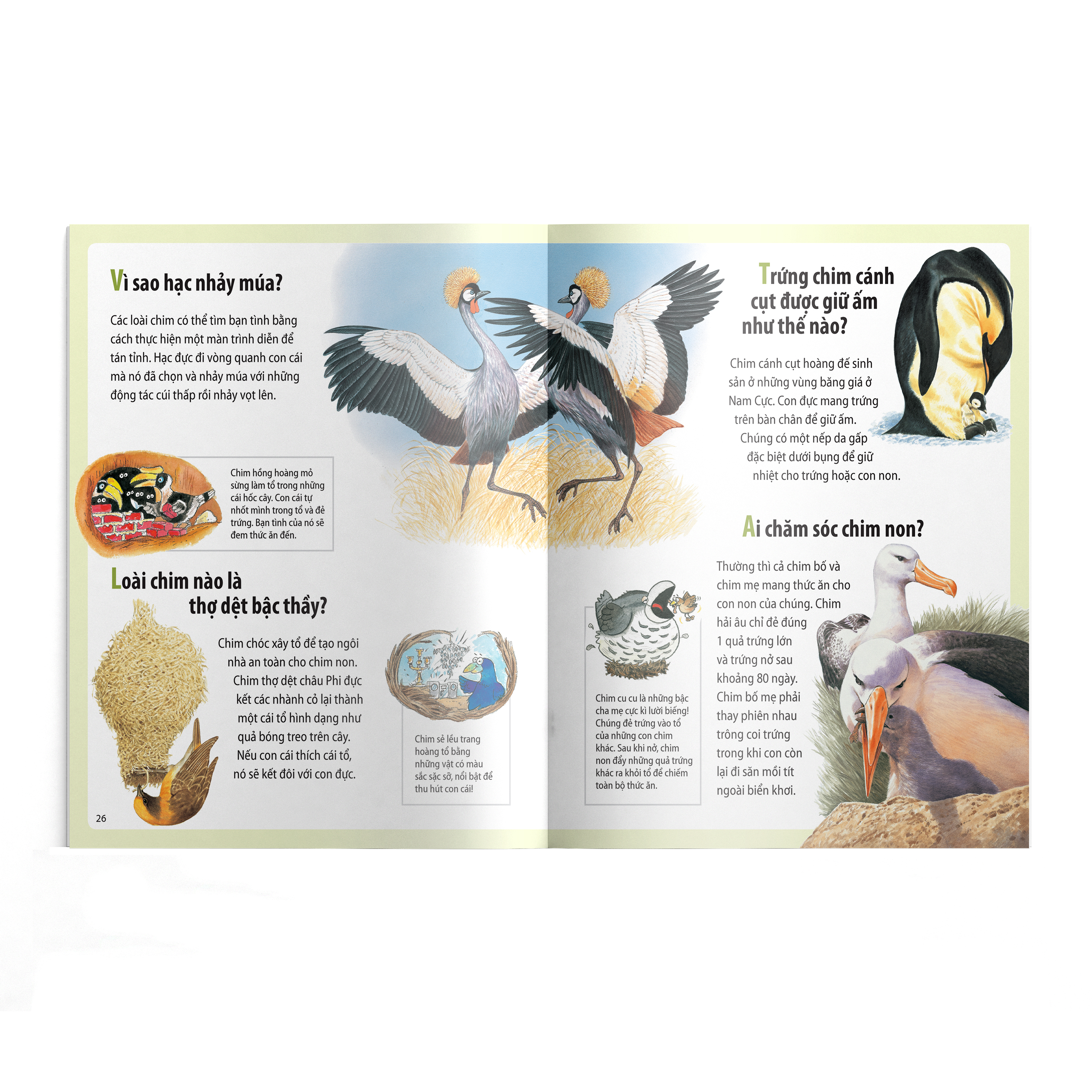 em muốn biết vì sao - sâu bướm ăn nhiều và những câu hỏi khác về sự sống (tái bản 2022) - Ảnh 5