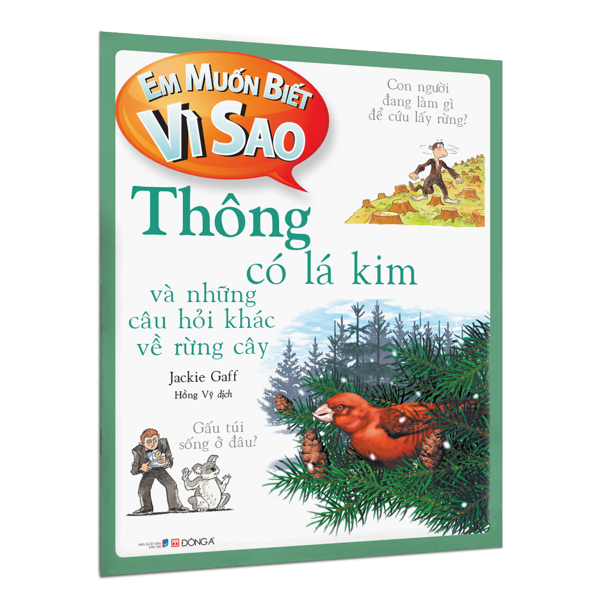 em muốn biết vì sao - thông có lá kim và những câu hỏi khác về rừng cây - Ảnh 2