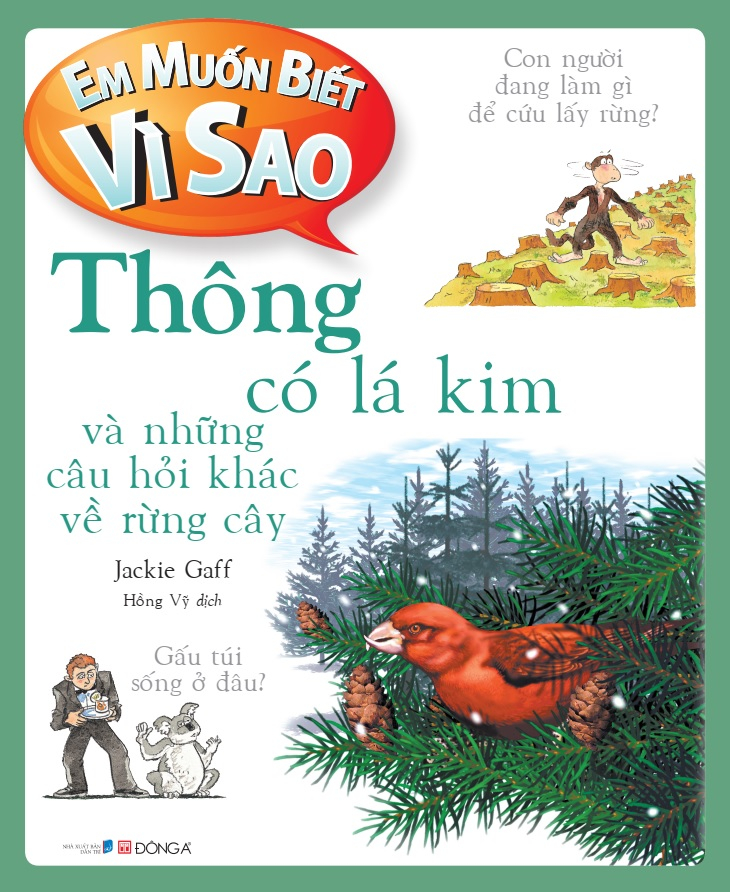 em muốn biết vì sao - thông có lá kim và những câu hỏi khác về rừng cây - Ảnh 6