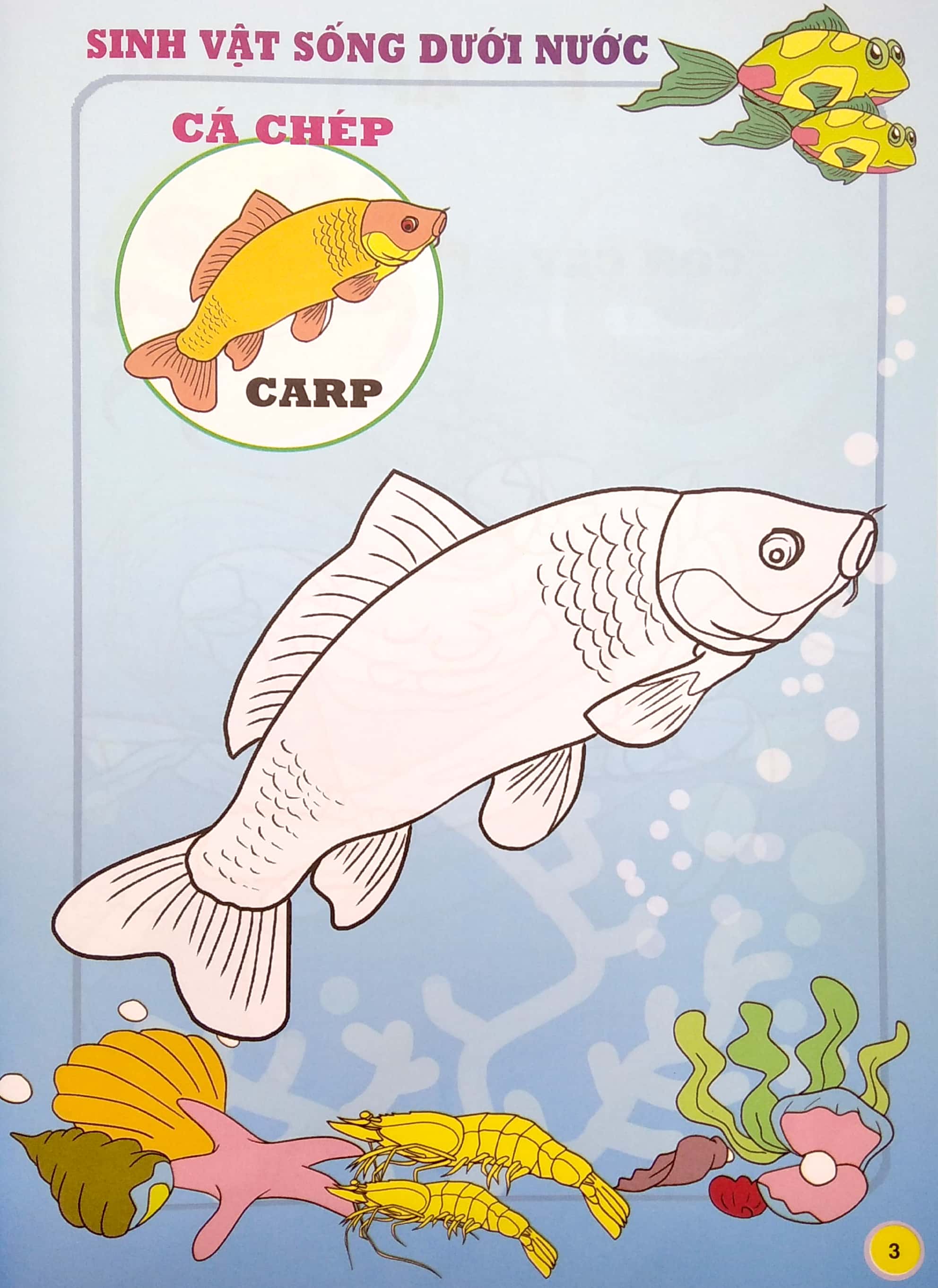 em tập tô màu - chủ đề: động vật sống dưới nước - Ảnh 5