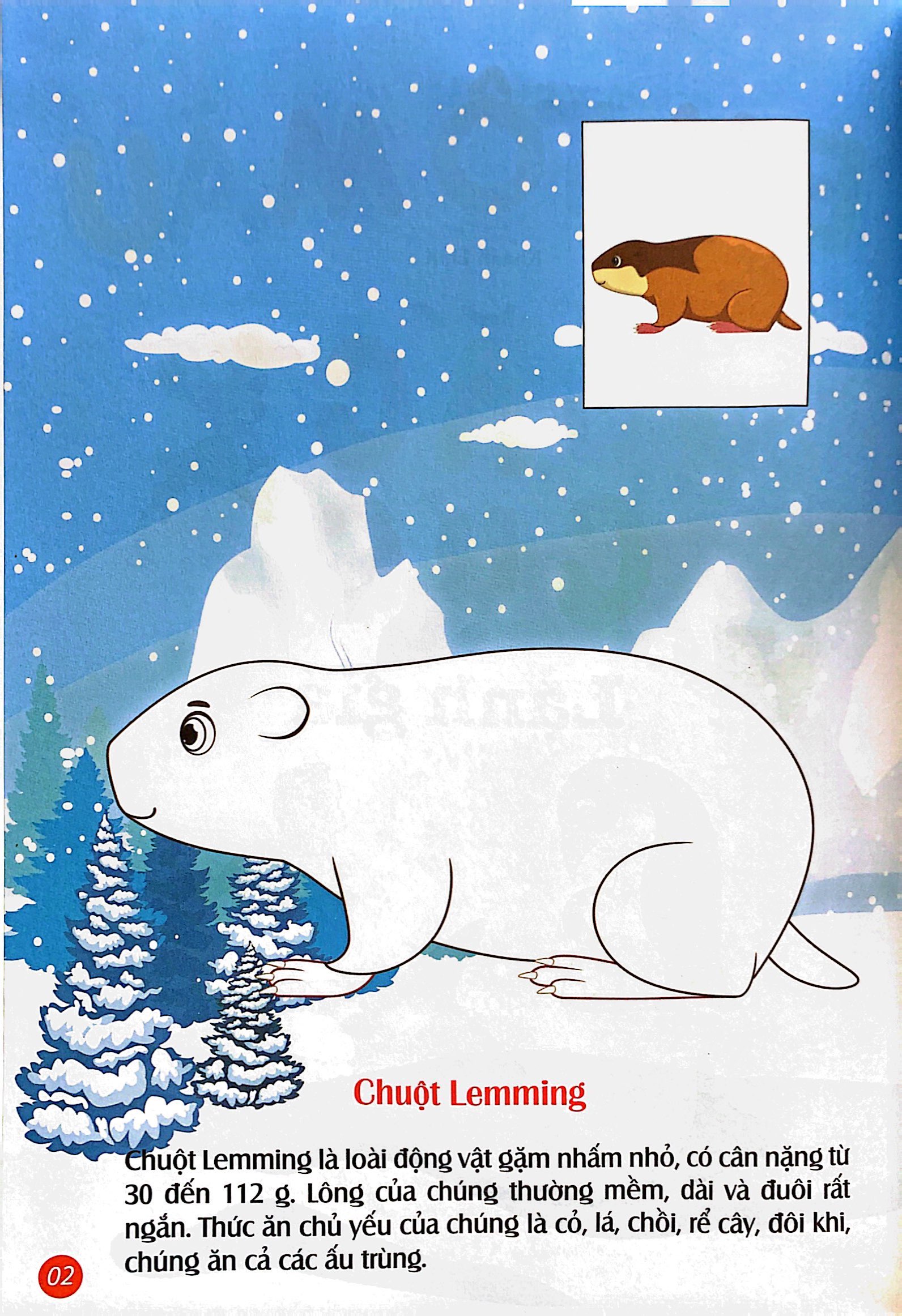 em tô màu - bắc cực lạnh giá - Ảnh 3