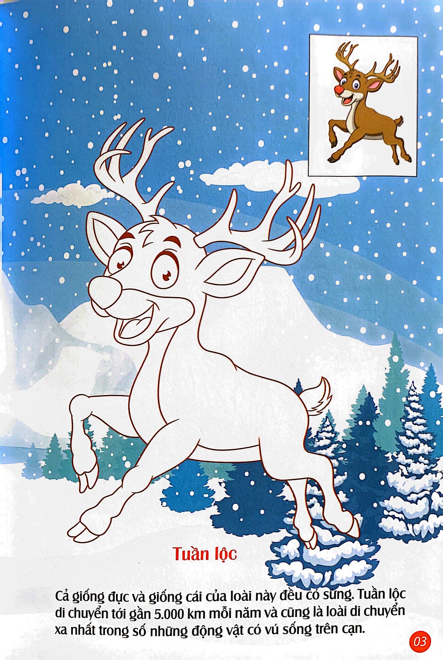 em tô màu - bắc cực lạnh giá - Ảnh 4