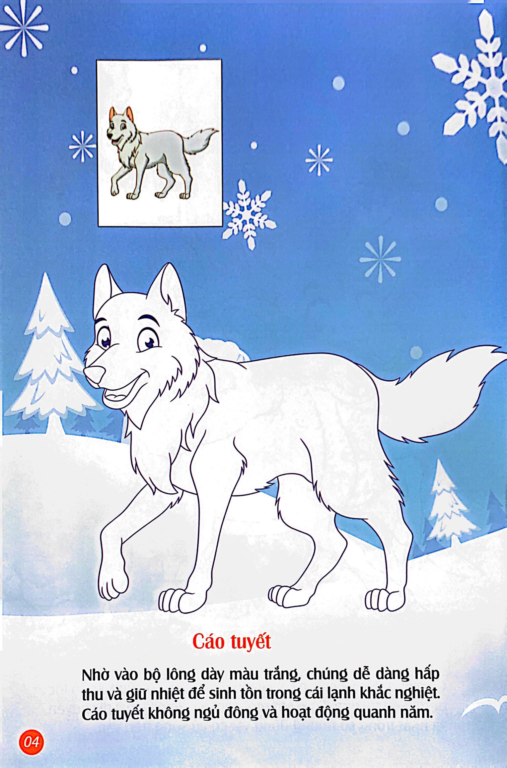 em tô màu - bắc cực lạnh giá - Ảnh 5