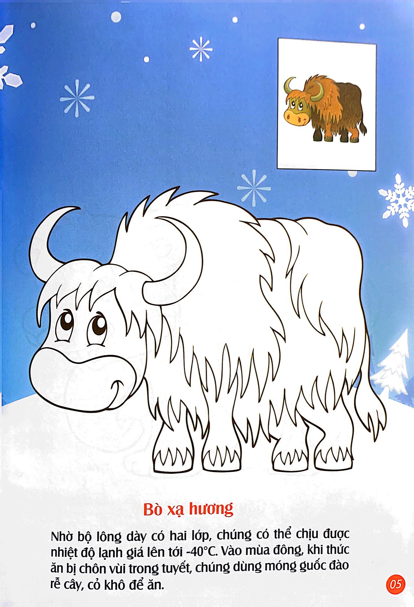 em tô màu - bắc cực lạnh giá - Ảnh 6