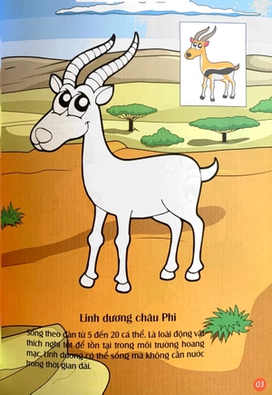 em tô màu - châu phi hoang dã - Ảnh 4