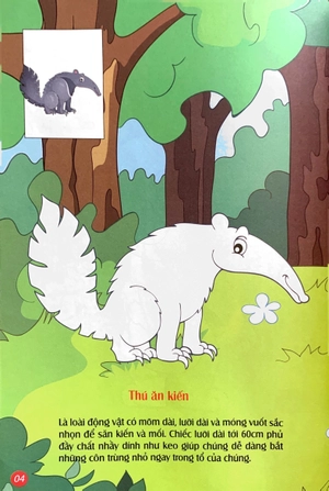 em tô màu - khu rừng kỳ ảo - Ảnh 5