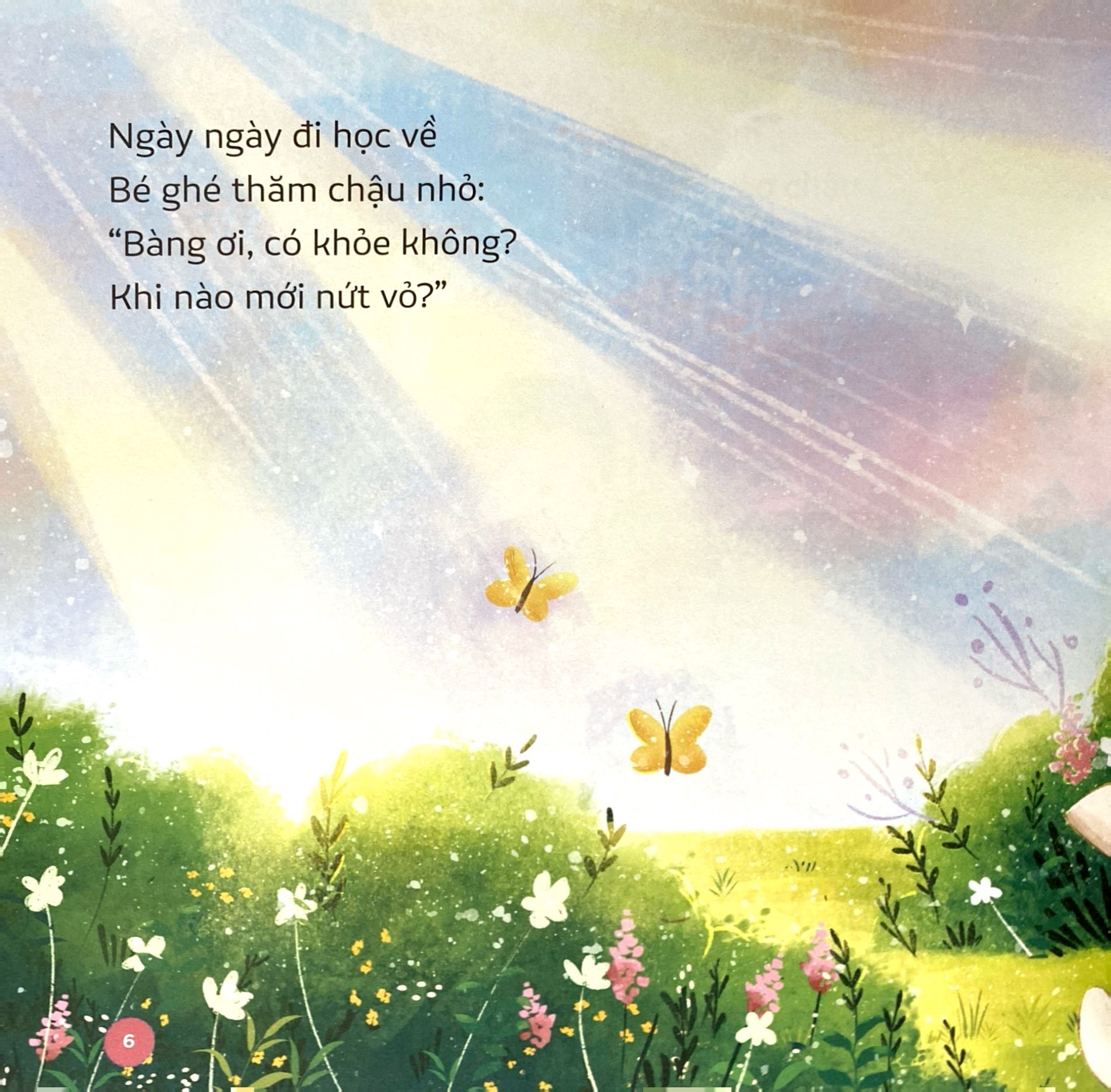 em yêu biển đảo-biên cương - cây bàng vuông của bé - Ảnh 6