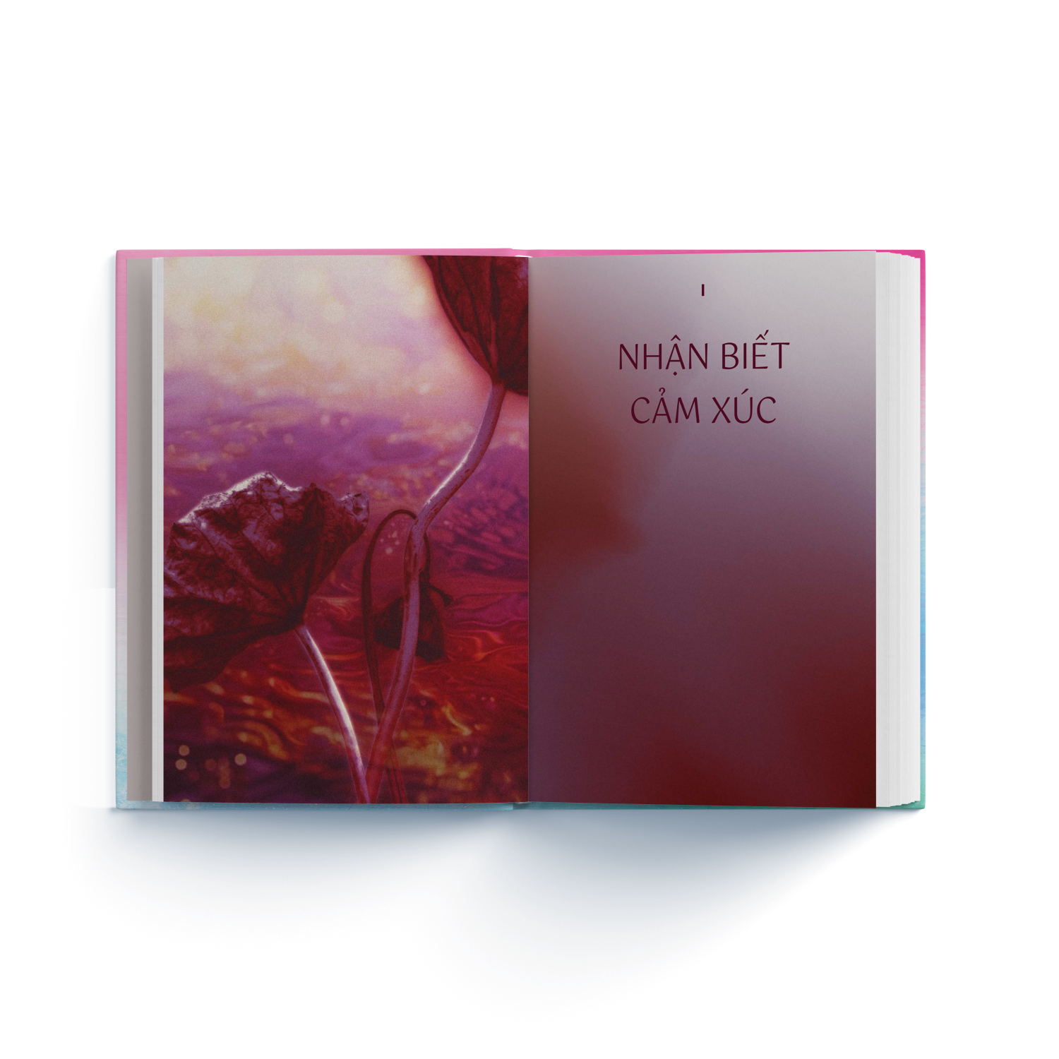 Emotion Coaching - Nhật Ký Chuyển Hóa Cảm Xúc Bằng Kỹ Năng Tự Khai Vấn - Bìa Cứng - Ảnh 5