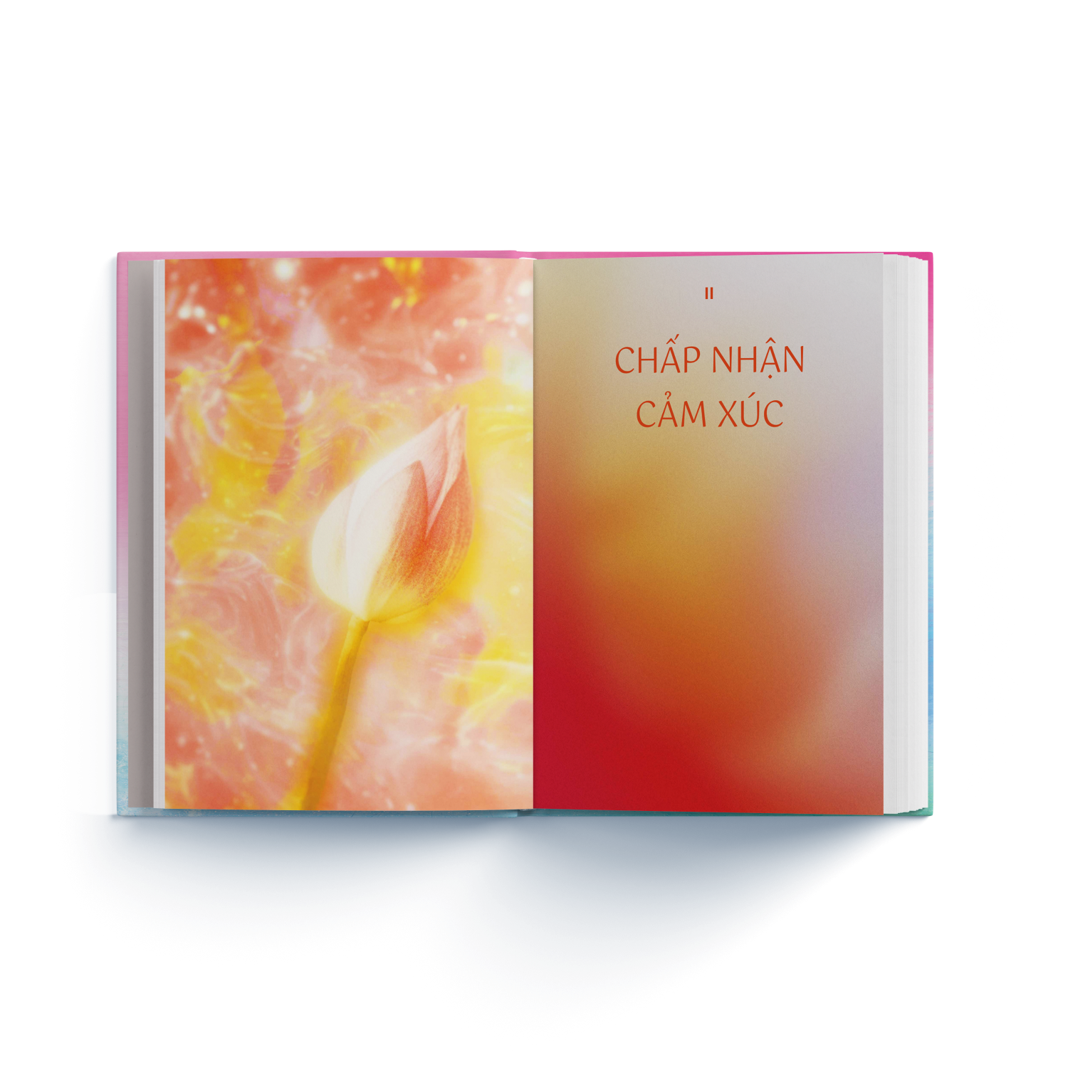 Emotion Coaching - Nhật Ký Chuyển Hóa Cảm Xúc Bằng Kỹ Năng Tự Khai Vấn - Bìa Cứng - Ảnh 6