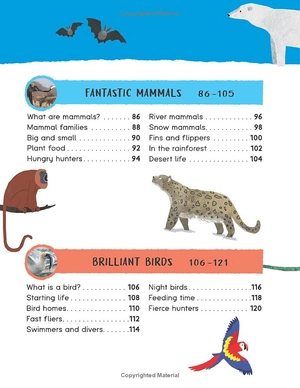 encyclopedia of amazing facts - Ảnh 7
