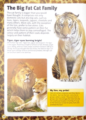 encyclopedia of cats - Ảnh 5