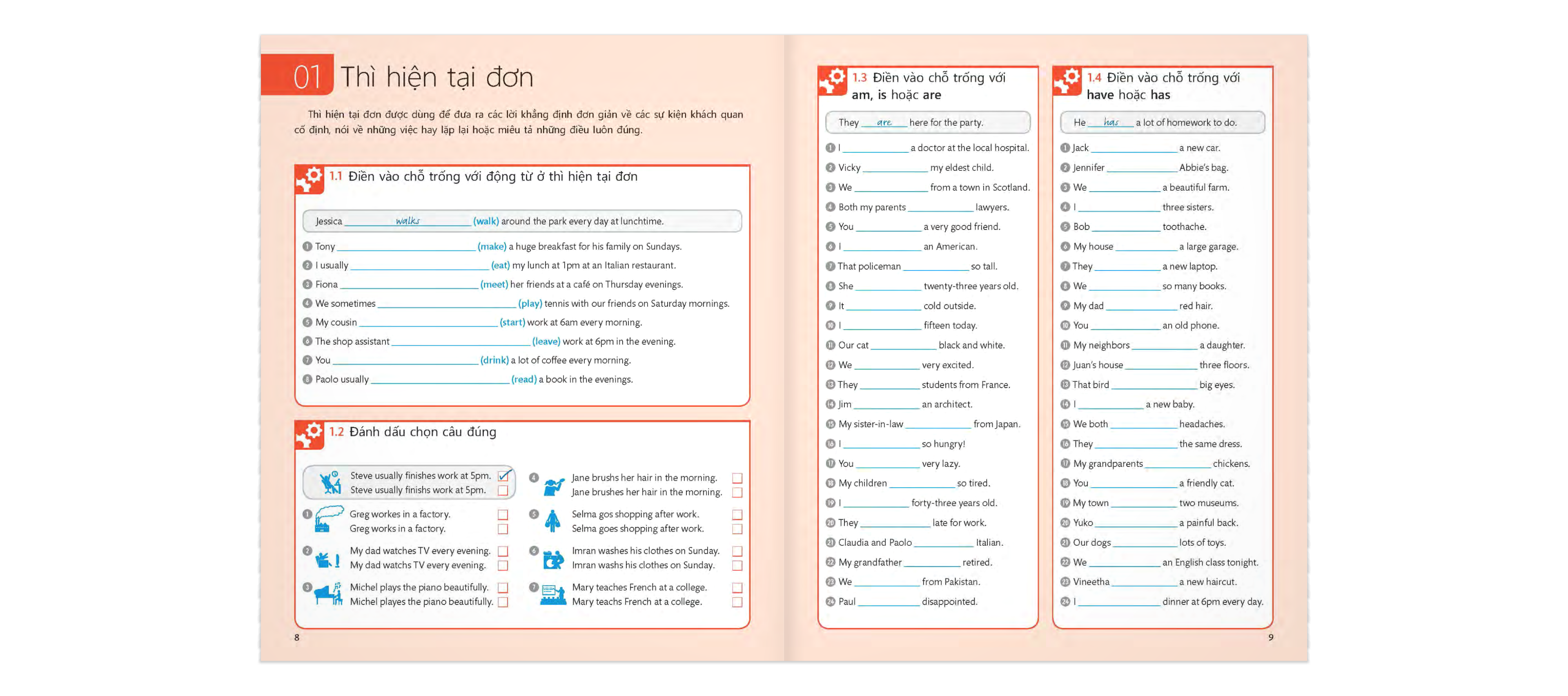 english for everyone - grammar guide - practice book - Ảnh 5