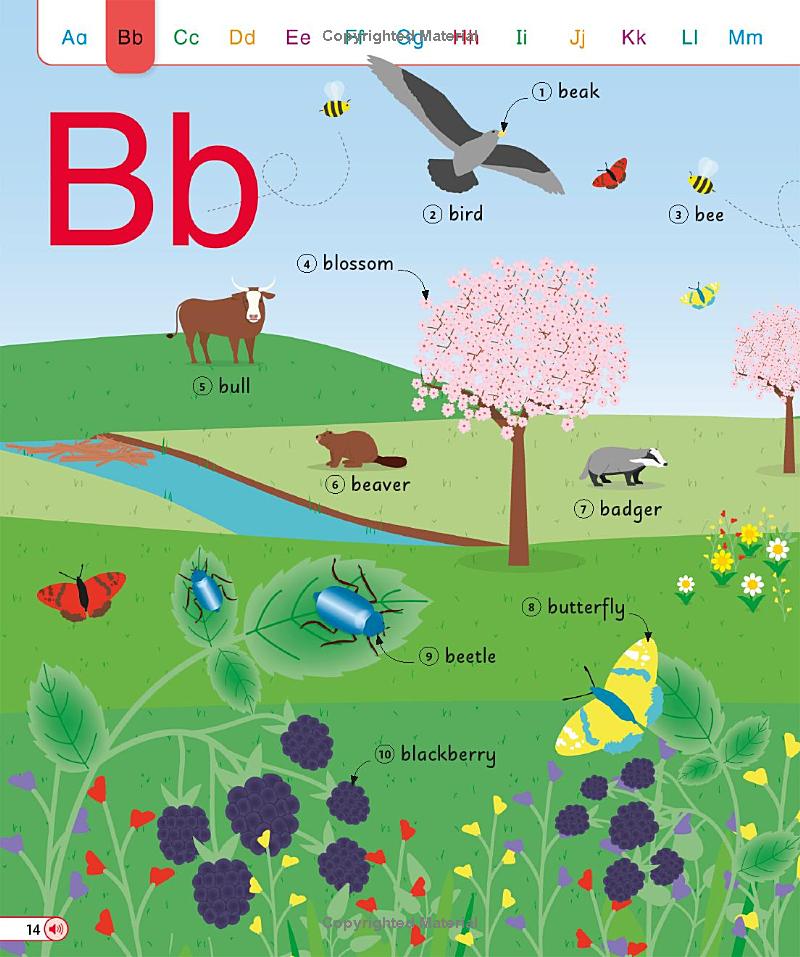 English For Everyone Junior English Dictionary: Learn To Read And Say 1,000 Words - Ảnh 14