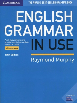 english grammar in use book with answers 5th edition - Ảnh 2