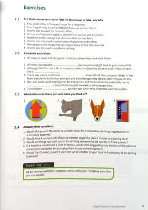 english idioms in use advanced book with answers (vocabulary in use) - Ảnh 8