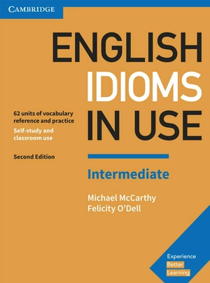 english idioms in use intermediate book with answers (vocabulary in use) - Ảnh 2