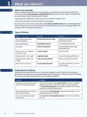 english idioms in use intermediate book with answers (vocabulary in use) - Ảnh 5