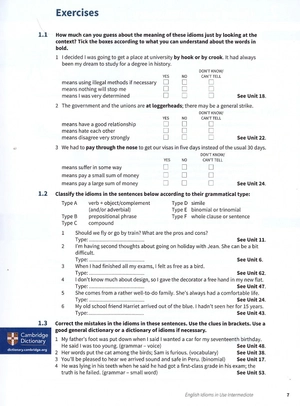 english idioms in use intermediate book with answers (vocabulary in use) - Ảnh 6