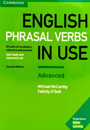 english phrasal verbs in use advanced book with answers (vocabulary in use) - Ảnh 2