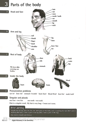 english vocabulary in use: elementary book with answers fahasa reprint edition: vocabulary reference and practice (cd-rom) - Ảnh 10