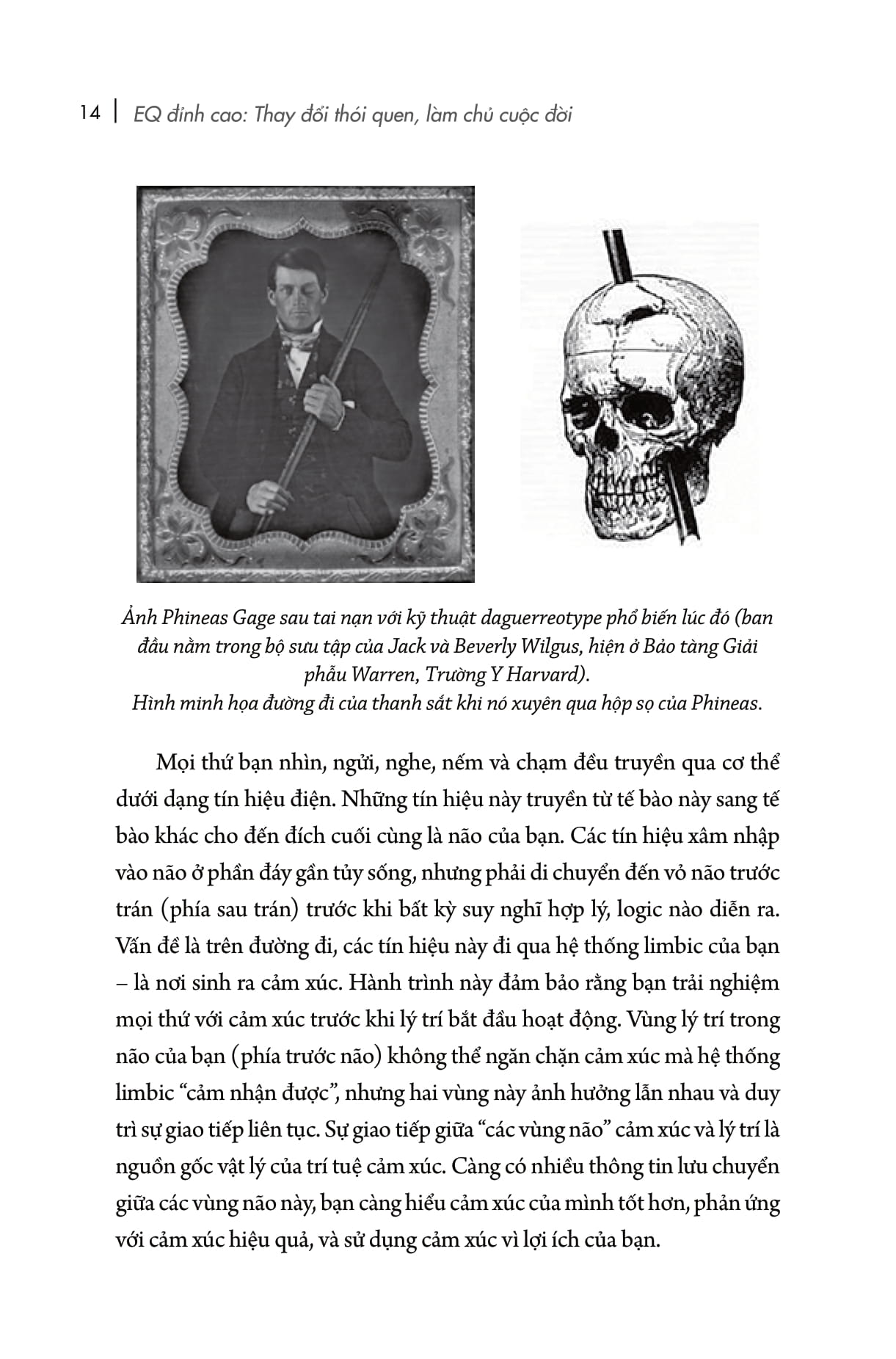 eq đỉnh cao - emotional intelligence habits - thay đổi thói quen, làm chủ cuộc đời - Ảnh 12