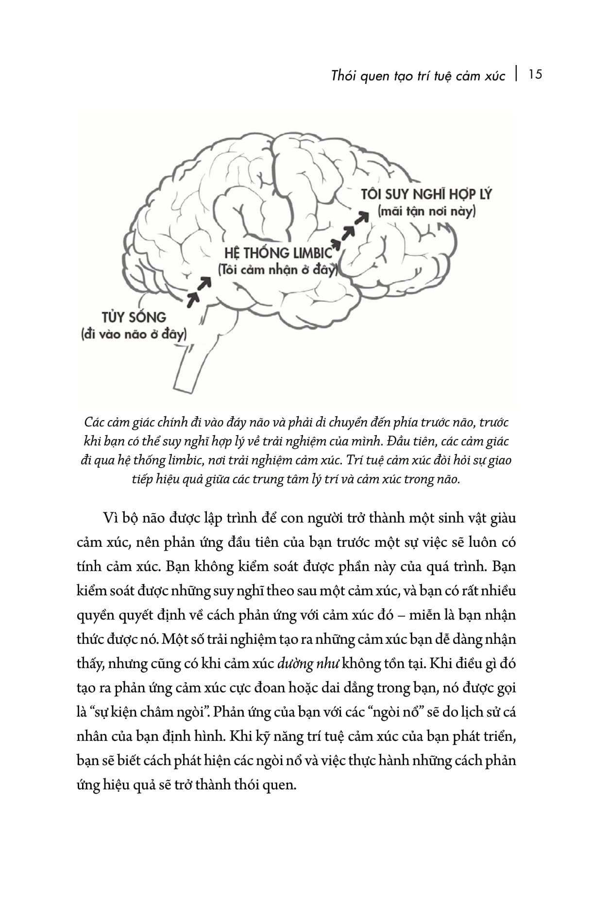 eq đỉnh cao - emotional intelligence habits - thay đổi thói quen, làm chủ cuộc đời - Ảnh 13
