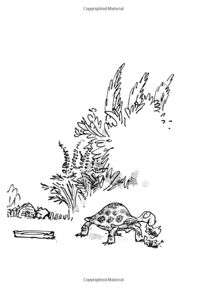 esio trot - Ảnh 10