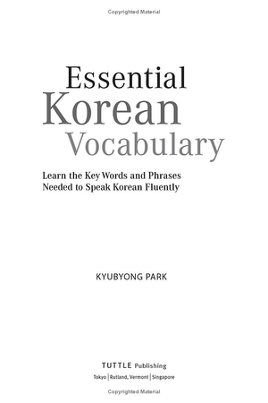essential korean vocabulary - learn the key words and phrases needed to speak korean fluently - Ảnh 3
