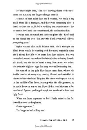 everblaze (3) (keeper of the lost cities) - Ảnh 16