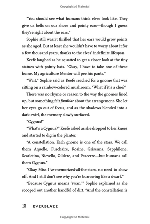 everblaze (3) (keeper of the lost cities) - Ảnh 17