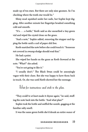 everblaze (3) (keeper of the lost cities) - Ảnh 18