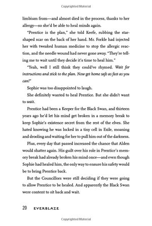 everblaze (3) (keeper of the lost cities) - Ảnh 19