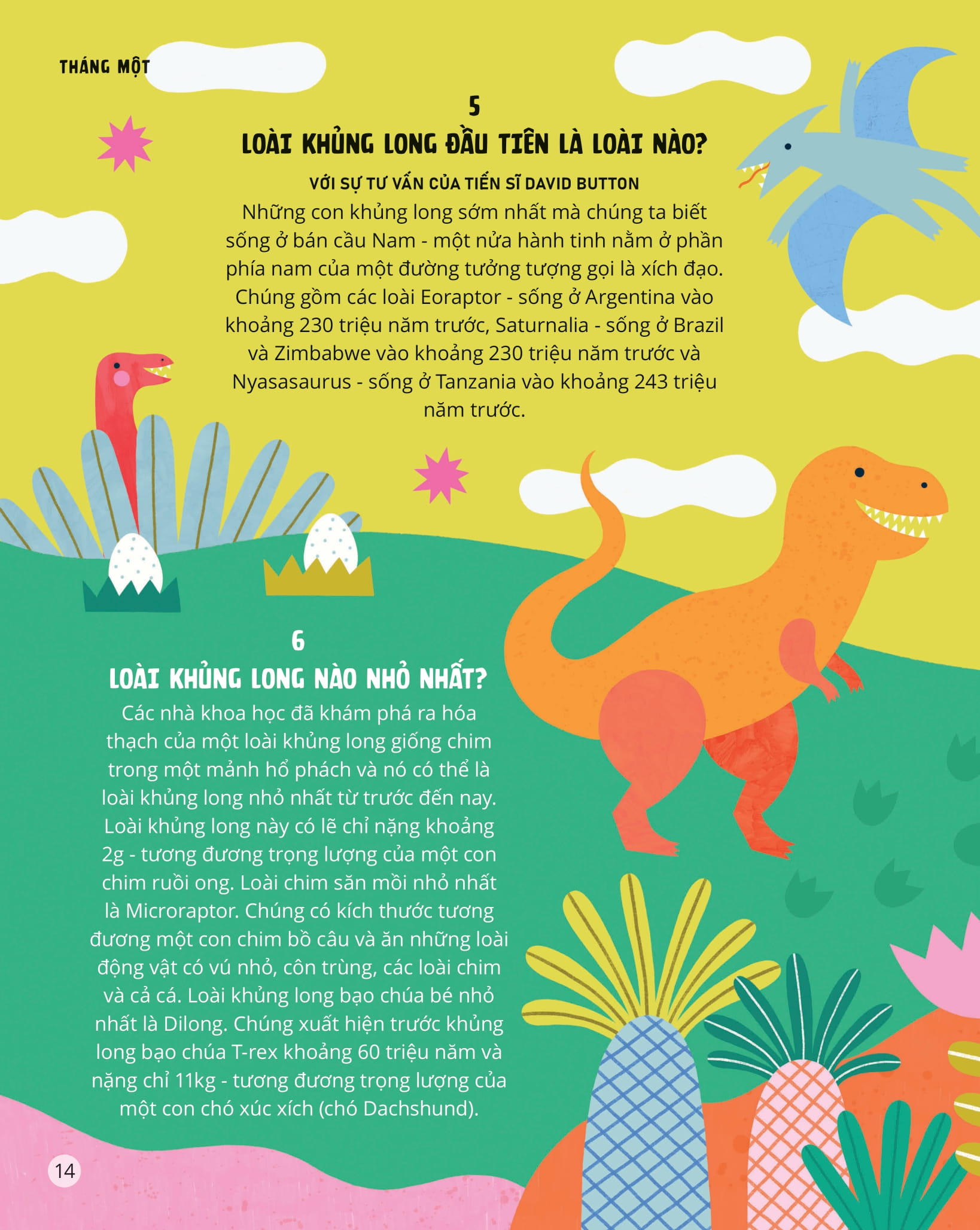 everything under the sun - 366 câu hỏi lý thú của trẻ - Ảnh 11