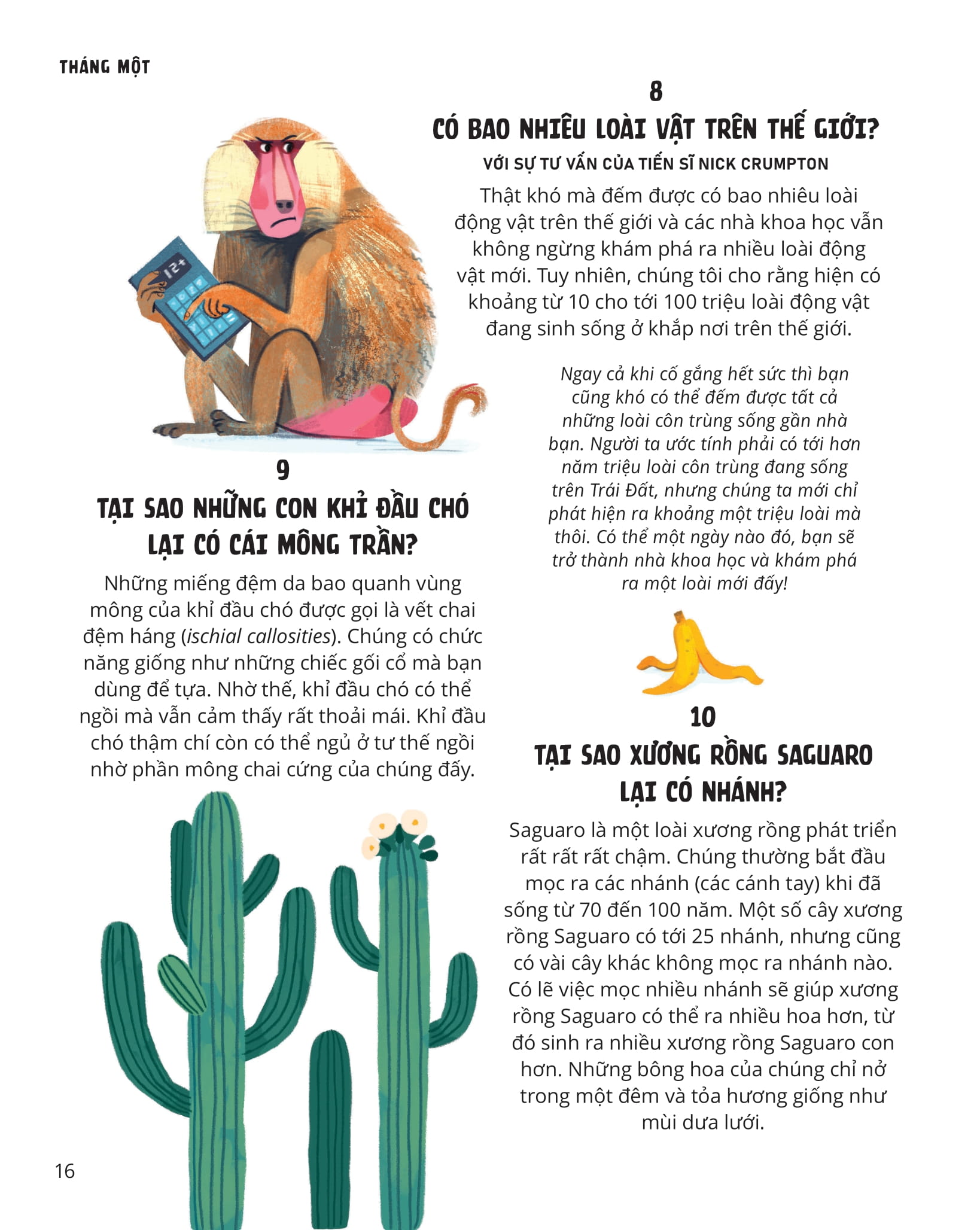 everything under the sun - 366 câu hỏi lý thú của trẻ - Ảnh 13