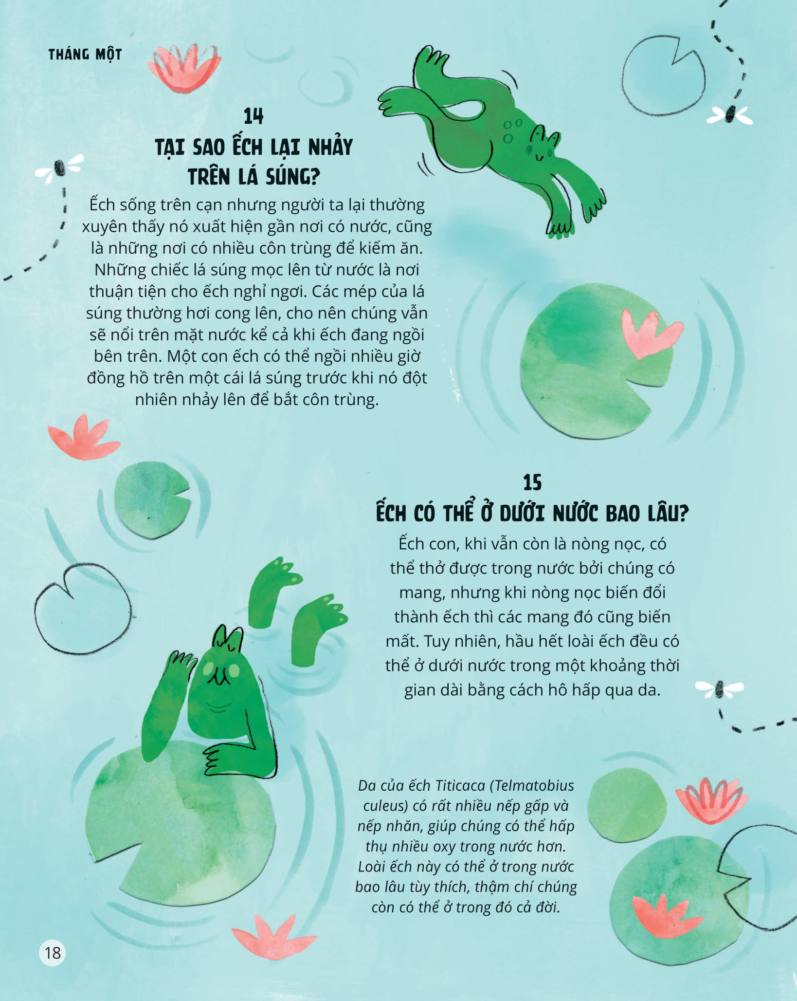 everything under the sun - 366 câu hỏi lý thú của trẻ - Ảnh 15