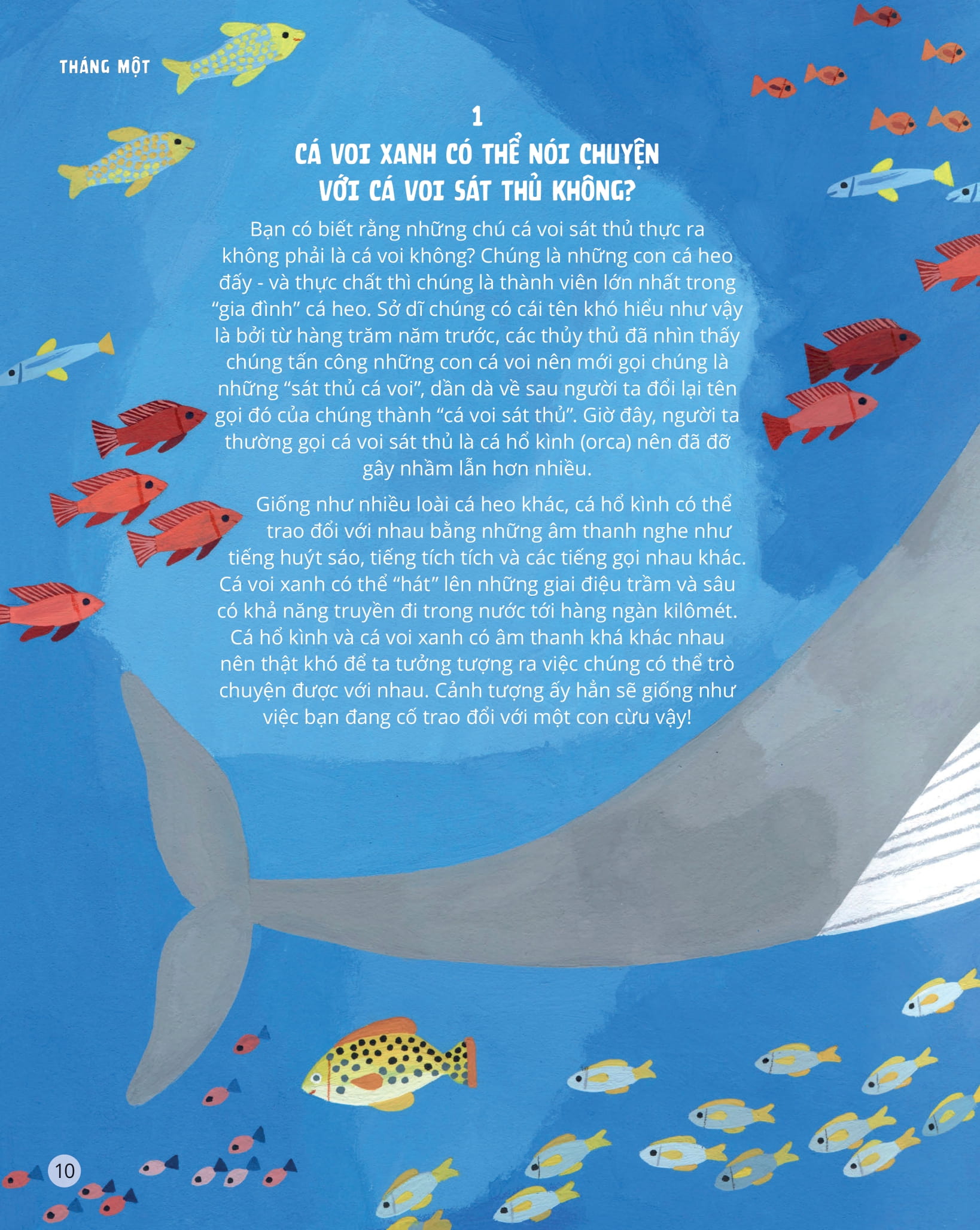 everything under the sun - 366 câu hỏi lý thú của trẻ - Ảnh 7