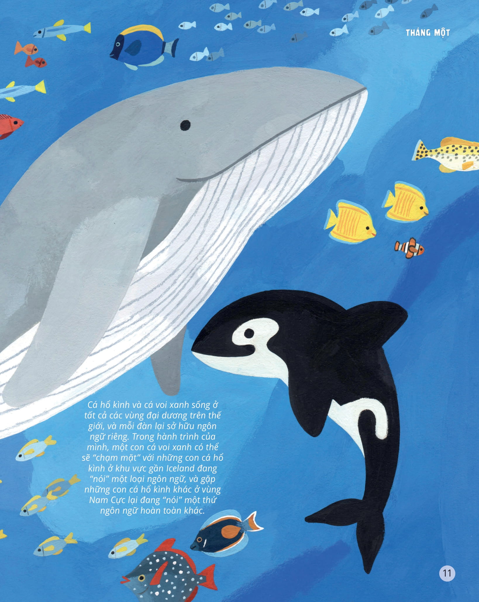 everything under the sun - 366 câu hỏi lý thú của trẻ - Ảnh 8