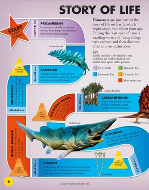 everything you need to know about dinosaurs - Ảnh 10