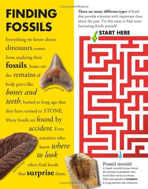 everything you need to know about dinosaurs - Ảnh 12