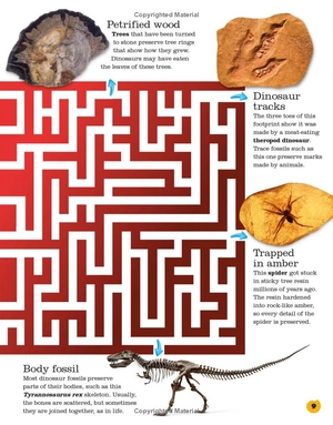 everything you need to know about dinosaurs - Ảnh 13