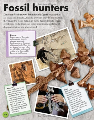 everything you need to know about dinosaurs - Ảnh 14