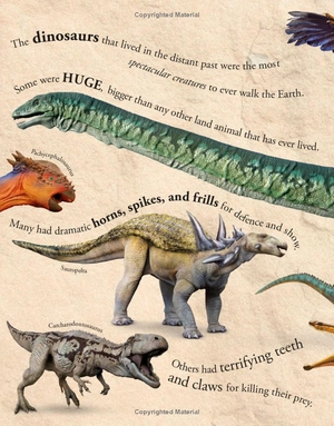 everything you need to know about dinosaurs - Ảnh 8