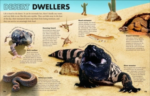 everything you need to know about snakes - and other scaly reptiles - Ảnh 5