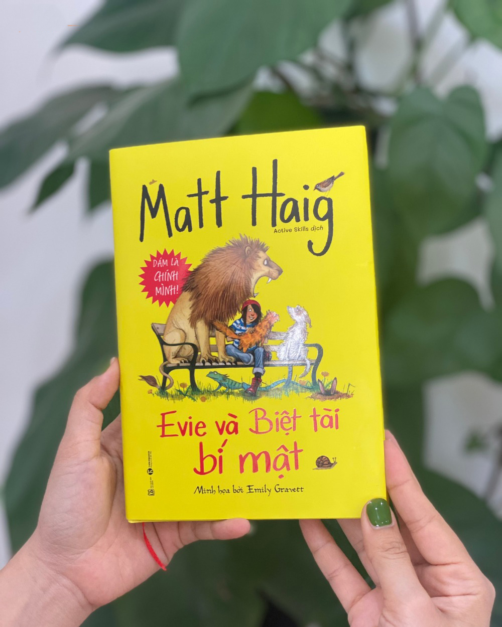 evie và biệt tài bí mật - Ảnh 2